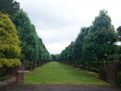 広島市と安芸高田市のあれもこれも満喫！