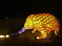 ★★ Vivid Sydney 2016 at Taronga Zoo - ビビッド・シドニー2016 タロンガ動物園 ライトアップ