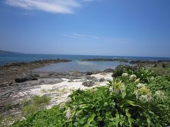 幻想的な森と透き通った海！梅雨の屋久島ひとり旅4日目2016.6