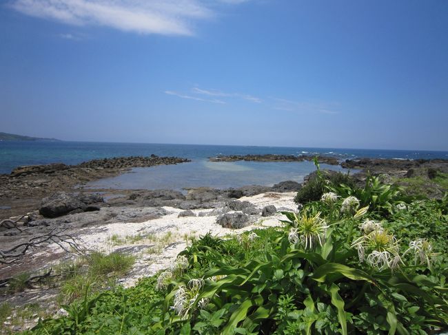 幻想的な森と透き通った海！梅雨の屋久島ひとり旅1日目・2日目2016.6<br />幻想的な森と透き通った海！梅雨の屋久島ひとり旅3日目2016.6<br />の続きです。<br /><br />〈4日目(最終日)〉<br />レンタカーで島内観光。<br />大川の滝・塚崎タイドプール・フルーツガーデンに行きました。<br /><br />前日までの山は涼しかったけど、里は暑い！<br />早くも蝉しぐれが降りそそぐ中、飛行機の時間まで屋久島を満喫しました♪