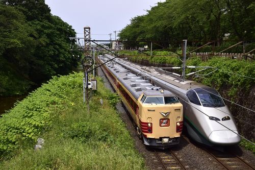 万感の想いを乗せて・・・】485系ラストラン「特急つばさ」を