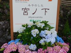 富士屋ホテル ☆ 宮ノ下の紫陽花