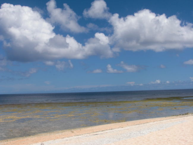 きれいな海、魚、グルメ、釣り、私の好きなことをすべてしました。