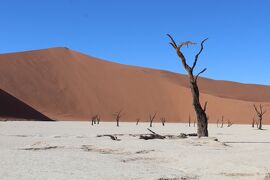 【75】旅行記31　(1)赤い砂の風景画・ナミブ砂漠ツアーの旅