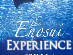 江ノ水1/6　新江ノ島水族館　ペンギン・クラゲ・あじさい水槽など　☆名産しらす丼の昼食