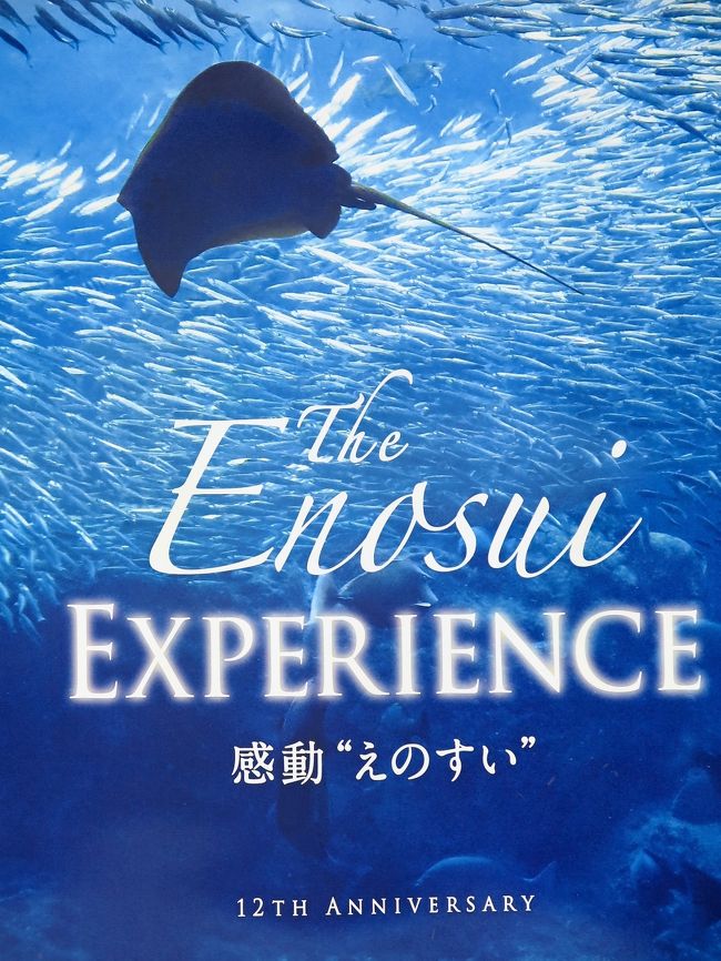 新江ノ島（しんえのしま）水族館は神奈川県藤沢市片瀬海岸の湘南海岸公園にある水族館。江の島水族館の実質的な後継施設である。1954年（昭和29年）7月1日に江の島水族館がオープンした。 2003年（平成15年）12月31日に江の島水族館は完全に閉館し、2004年（平成16年）4月16日に新江ノ島水族館がオープンした。<br /><br />新江ノ島水族館の開業にあたっては、『神奈川県立湘南海岸公園海洋総合文化ゾーン施設整備等事業』として策定され、運営されている。 施設建物の設置・運営管理は、オリックス・オリックス・リアルエステート・（株）江ノ島水族館・日建設計・大成設備が出資・設立した特別目的会社の江ノ島ピーエフアイ株式会社が行い、館内の飼育生物の管理は旧江の島水族館 事業主の江ノ島マリンコーポレーションへ委託する形態となっている。なお、江の島水族館から新江ノ島水族館へ移管する生物や一部資産等については、江ノ島ピーエフアイが（株）江ノ島水族館から取得している。また、敷地が湘南海岸公園内であり、神奈川県の民活事業という側面がある。<br /><br />目を引くのが、巨大な『相模湾大水槽』であり、浅瀬から海中の8000匹のマイワシの群泳といった相模湾の環境を再現している。また、大水槽では首都圏唯一のシノノメサカタザメの飼育も行われている。<br /><br />また、海洋研究開発機構（JAMSTEC）の協力による『深海コーナー』もあり、『化学合成生態系水槽』ではチューブワームや鯨骨生物群集の生態展示が行われ、スケーリーフットや旧水族館時代に飼育したチョウチンアンコウの標本も展示されている。また、有人潜水調査船「しんかい2000」の動態保存・展示も行われている。深海生物飼育の為の『ディープアクアリウム』（深海魚#研究史参照）が展示されている事もある。 <br /><br />江ノ島水族館マリンランドの頃からバンドウイルカの繁殖に積極的に取り組んでおり、1988年（昭和63年）には展示飼育下にあるバンドウイルカの繁殖に日本で初めて成功している。 その後も、2002年（平成14年）7月15日には世界初となる展示飼育下における4世（4世の定義は、曽祖父母世代が捕獲された野生のバンドウイルカであり、その後の祖父母世代および親世代は、少なくとも父母のうちの片方が水族館生まれ）が誕生するなど、顕著な業績を上げている。<br />（フリー百科事典『ウィキペディア（Wikipedia）』より引用）<br /><br />新江ノ島水族館については・・<br />http://www.enosui.com/