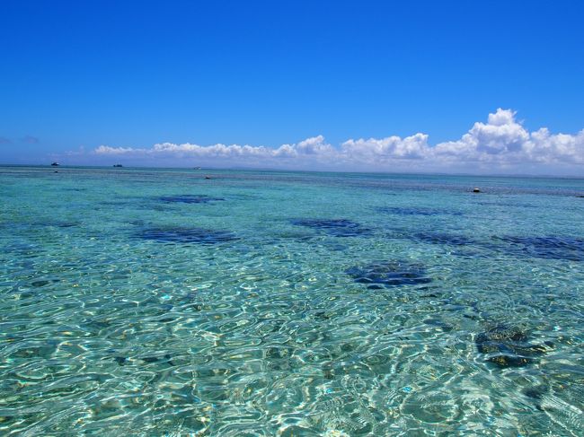 ４月に一人旅した時にとまりんの横を通ったときからずっと気になっていたナガンヌ島に行きたくて！！<br /><br />旅行の予約を入れた後ナガンヌ島について色々調べて、すぐにオーシャンウォークのプランを申し込みました。<br />それからはずっとソワソワ。<br />シュノーケルのセット買ったり（やった事ないのに買った）、コンデジの防水ケース買ったり、人生初のコンタクトレンズ買ったりとナガンヌ島への想いは募るばかり。<br />髪の毛までバッサリ切ってしまいました。<br /><br />ナガンヌ島のＨＰ見ていたら連日船が欠航になってたので不安しかありませんでした。。。が、ヤッター！！てぃだかんかんになりました。<br /><br /><br />２日目?<br />ナガンヌ島へ、いざ出発！！