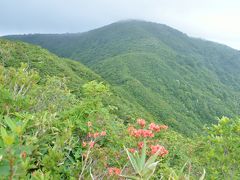 金糞岳（１３１７ｍ）　滋賀県第２の高峰