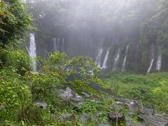 静岡ドライブ