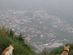 【2016年台湾】歩き回る台湾一人旅　5日目‐1　基隆山に犬とハイキング