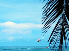 椰子の木に囲まれた楽園を原付でグルっと in サムイ島★2016　08　8日目　【サムイ島】