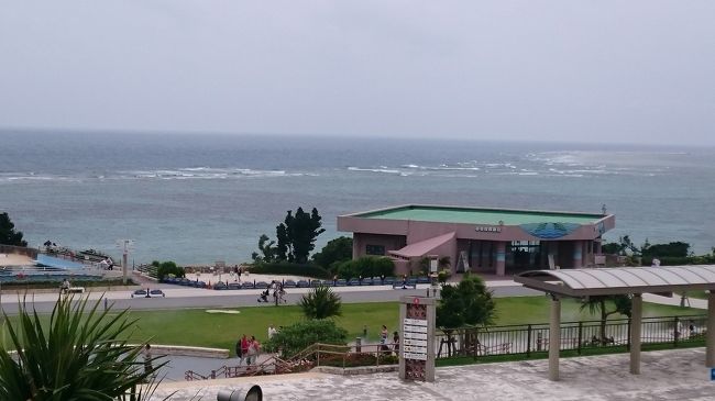 ２日めは美ら海水族館にいきました<br />大阪なので車に乗ることないので<br />私は免許なし旦那さんはペーパーというかなり恐怖ですが<br />レンタカーを借りて行って来ました<br /><br />道も分からないのでぐるぐる回ったりしたけど<br />カーナビのお陰で無事事故もなく帰れました。<br /><br />なんとかなったので一応１泊で借りていたので次の日もちょっとドライブしました。<br /><br />ちょっと車でお出かけするのも楽しいですね<br /><br />大阪に帰ってもお出かけしてみようかと思いました