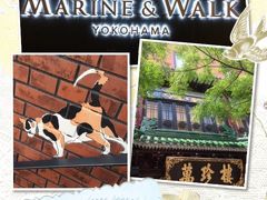 横浜ドライブ 中華街と MARINE & WALK YOKOHAMA