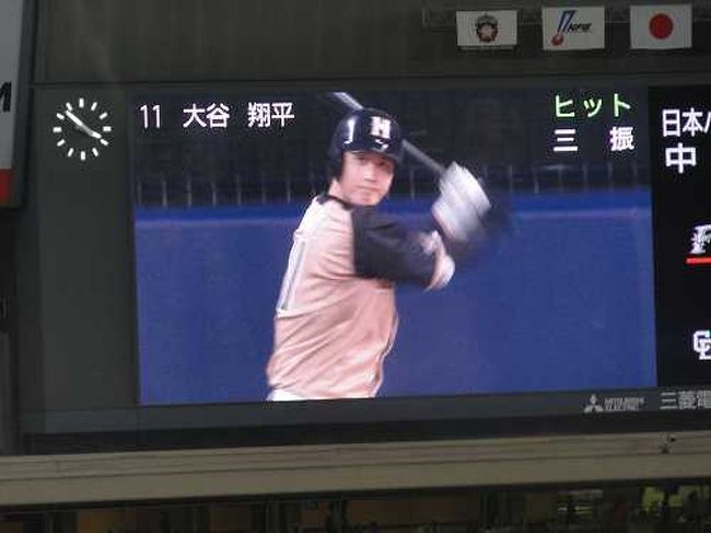 名古屋城本丸御殿とドラゴンズ応援