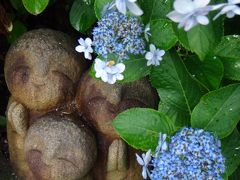 雨上がり、観音ミュージアムのついでに遅めの紫陽花山登り海光山慈照院長谷寺（鎌倉観世音第4番）