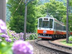 あじさい電車 2016