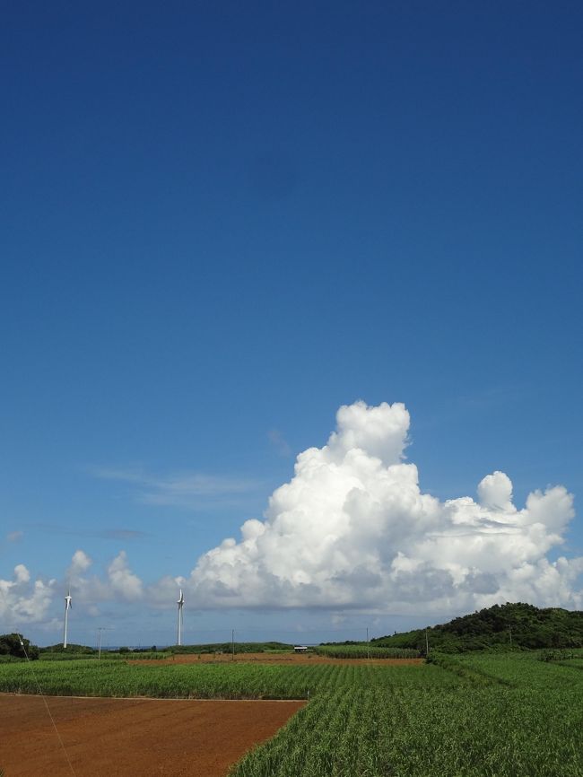 毎年梅雨明けごろを狙って訪れる宮古島。<br />今年は6月16日に梅雨が明け、<br />ちょうど”梅雨明け10日”の安定した時期に訪れることができました。<br />もうすっかり真夏の島は、連日力強く素晴らしい青を見せてくれました。<br /><br />3年ぶりに八重干瀬へ。<br />前回は台風前のやや不安定な中でしたが、<br />今回は海ガメと泳ぐこともでき、完璧でした！<br /><br />「やっぱり宮古島っていいですねー」と感じた今回。<br />久々に旅行記を綴ります。<br /><br />※今回の旅行記まとめ<br />　①6月21～22日　来間島・新城海岸<br />　②6月23日　　　八重干瀬<br />　　6月24日　　　伊良部島・下地島<br /><br />