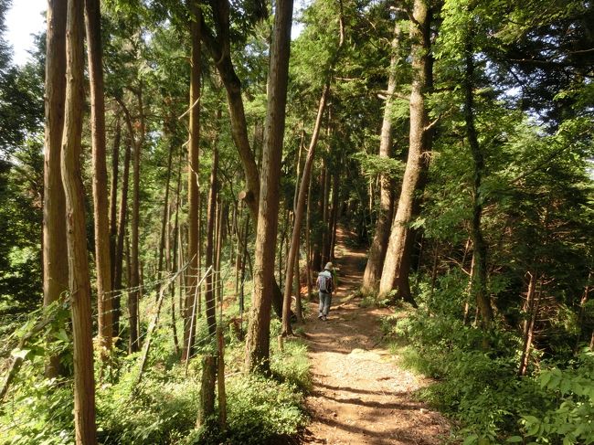 梅雨の晴れ間に、いつもの山仲間と合同トレッキング。<br />今回は、南高尾です。高尾山はかなり混むので４年前の初高尾以来、避けていたのですが、南高尾のルートは人が少なくかなり歩きごたえがあると聞き、挑んでみました。<br />梅雨の晴れ間なので、湿度は高いし気温も３０度弱とかなり厳しい条件でしたが、だからこそ充実感もたっぷり、そして下山後の温泉とビールがたまりません！！<br />