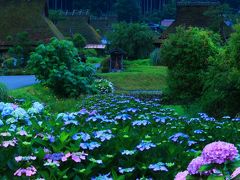 京都　紫陽花めぐり～美山かやぶきの里、丹州觀音寺、舞鶴自然文化園
