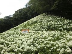 アナベルの雪山の登頂を目指しましょう！