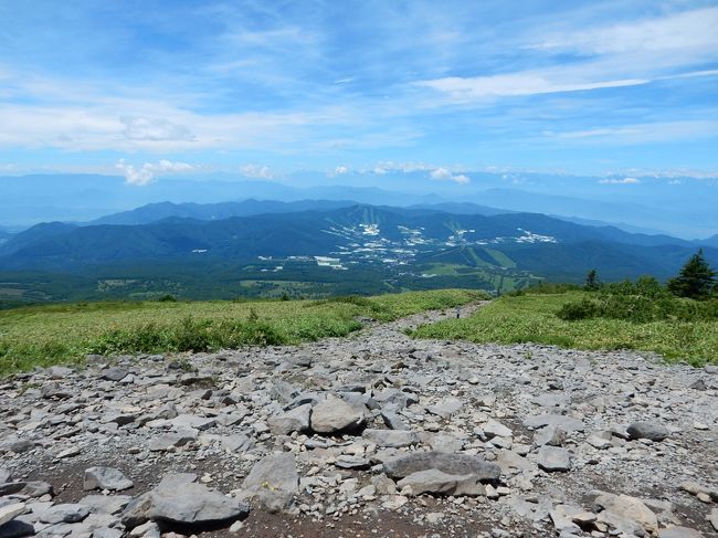東京近郊は朝から30℃を超え、昼間は熱中症になりそうなくらいの高温高湿度でしたので脱出するため、久しぶりに登山らしい登山に出かけました。<br />梅雨が明け、絶好の晴天下の日に登った山は、100名山にも入っている四阿山。群馬県と長野県境にあるこの百名山と根子岳は緑が美しい登山コースで良い運動にもなり、一石二鳥でした。<br /><br />---------------------------------------------------------------<br />スケジュール<br /><br />7月25 日 自宅-(自家用車)上信越自動車道上田菅平IC-菅平牧場口- (登山)-根子岳-四阿山-菅平牧場口-(自家用車)渋沢温泉<br /> -関越自動車道渋川IC-自宅