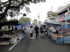 奥様による単身生活の確認（高知編）