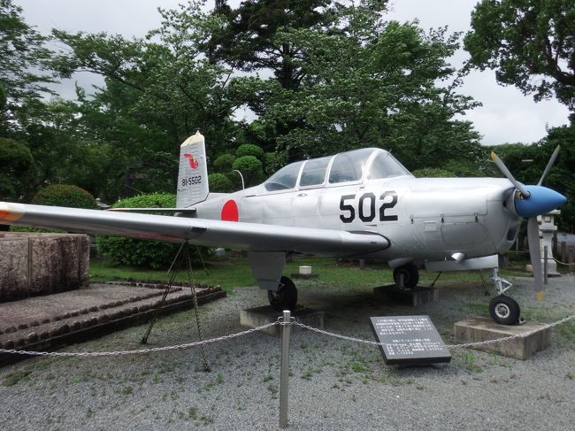 霧島温泉をチェックアウトし、レンタカーで向かう先は夫の予定ではそのまま知覧だったようだが、私は西郷隆盛ドンに会いたい！桜島だって見てみたい！と鹿児島中心部にも寄ってもらって、今回の旅の主目的である知覧に・・・<br /><br />しかし、知覧って武家屋敷郡も有るのよ！とそこも見学・・・何となくてんこ盛りの１日と成りました。<br /><br />最後の知覧平和記念館では言葉を失い・・・ゼロ戦特攻隊員の方々を追悼して、しんみりしてしまいました。<br />戦争は、本当にもう起こさないで欲しいと心から思った日でも有りました。