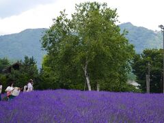 山梨〝河口湖ハーブフェスティバル〟甘い香りのラベンダー畑を訪れて