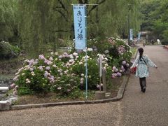 万博公園「音楽の祭日」とあじさいまつり