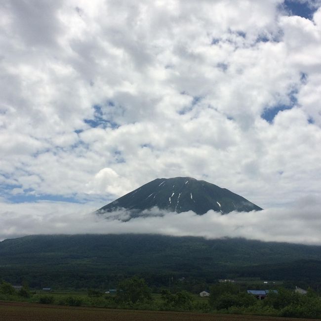 初夏のニセコひらふに一泊してきました。<br />あいにくの雨で観光はできなかったので、主に宿の記録ばっかりです。