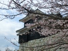 松山城で桜を堪能