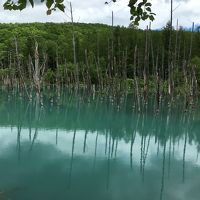 憧れのエゾバフンウニを食べに！Vol.2　雲海テラスと青い池