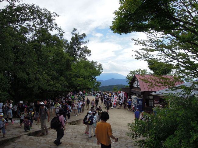 2016/6/25　築地・浅草・神宮球場・銀座<br />2016/6/26　高尾山・新宿・市川