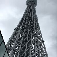 東京観光