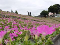 桃色吐息（マザー牧場）