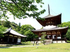 新義真言宗総本山の根来寺を参拝してから、緑化センターのバラを観賞しました。