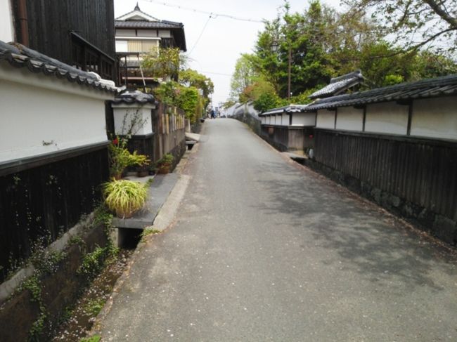 関西からなかなか行きにくい萩にやっと行けました。桜と柑橘類の香り、そして歴史の足跡。満喫しました！