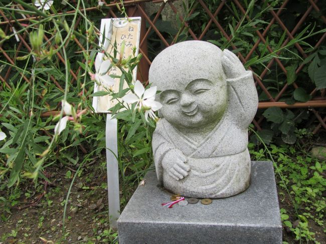 梅雨でジメジメした気持ちを少しでも軽くしようと、久しぶりに遠州の小京都と言われる森町に出かけて来ました。<br />小京都と言われるだけあって、森には神社、仏閣も多く点在しています。<br />今回は紫陽花で有名な極楽寺、ききょうで知られる香勝寺、それと森に行ったら絶対に外せない小國神社の３箇所を訪ねて来ました。<br /><br />「ききょう寺」で知られるこの寺の境内には、観音様のお告げで植えられたといわれるききょうが、小高い丘に15種類4万株。6月中旬から7月下旬まで、青紫、白、ピンクに咲き乱れ、それは見事です。<br />写真のように所々に可愛いお坊さんがお出迎えしてくれています。<br /><br />こちらは拝観料５００円となっています。