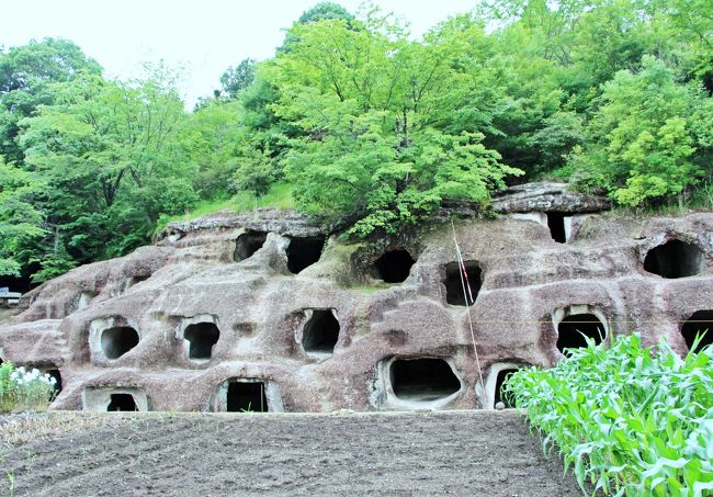 梅雨の晴れ間に友人と宇都宮へと旅に出ました。<br /><br />宇都宮と言えば真っ先に浮かんでくるものはモチモチの皮に包まれた餃子ですが、今回の旅のターゲットは餃子ではなく石。<br />その石が織りなす奇妙な景色です。<br /><br />大谷石の採掘場地下に広がる地底ラビリンスや、宇宙人が古代に作った謎の箱型横穴…と云われたら信じてしまうかもの百穴洞窟、そして、平安時代の僧・空海の手によるという妖艶な磨崖仏…。<br /><br />日本のカッパドキアとも称される大谷石の織りなす大地を縦横無尽に駆け回り、総距離30kmを自転車で走り抜け、風を切って走るサイクリングの楽しさを味わいました。<br /><br />そして、旅の最期には友人も予想していなかった場所へと行き、ファンタジーの世界の深淵を覗き込んできました。<br /><br />そんな宇都宮を愉しんだ1日の旅行記：後編です。<br /><br /><br />Travel Blog 1【幻想的な地下世界へ】：http://4travel.jp/travelogue/11144147<br />Travel Blog 2【石を巡るイチゴ旅】：http://4travel.jp/travelogue/11145412