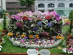 「花フェスタ 2016」で花壇めぐり