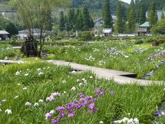 夢のあと・・・・・永澤寺　花しょうぶ園