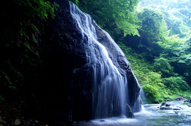 ☆梅雨の合間を縫って観光客とは無縁の地元の滝巡りをしてきました。<br />旅行記で紹介するのが恥ずかしいくらいの素々とした滝ばかりで<br />正直感動的とは言いがたいですが、日本の滝百選だろうが、豪快な滝だろうがリラクゼーション効果には大差ありません(^^ゞ。<br />それより他の観光客を全く気にする必要が無く、<br />涼風もマイナスイオンも癒し効果も独り占めできます。<br />でも寂しがりやの人や怖がりの人には向かないかもね(^^）；。<br /><br />オマケに地元の野の花もご覧ください。