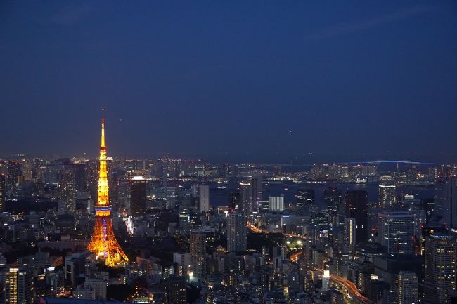 六本木ヒルズの屋上にあるスカイデッキです!<br />約270メートルのオープンデッキとしては、日本では一番高い様です。<br />室内とは違い外の風を感じながらの夜景は一見の価値はあると思います。<br />ただし有料なので、HPで確認されたからの訪問をお勧めします。