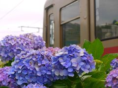 あじさい咲く★銚子電鉄で鉄子の旅　その2（犬吠→西海鹿島→笠上黒生→観音→仲ノ町）