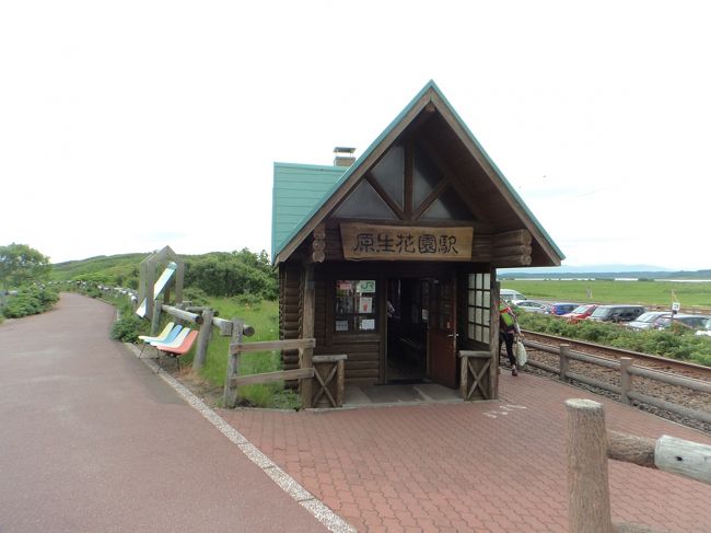 nimame達に自転車勧めたＫさん、昨年指導員の資格を取り、今年は北海道一周ライド（日本サイクリング協会主催）に参加すると聞き・・<br />石狩出発３８名、何時もの雄武から参加の皆さんと合流して、今日は常呂から斜里まで・・その後一部の人は最終釧路まで・・１０日間走るようです。<br /><br />nimame達・参加した事はあっても、沿道からの声援はないね！！で・・<br />せっかくなら見通しの良い原生花園だね♪<br /><br />丁度原生花園の花も見ごろと聞いたし（＾＾）<br /><br />そんな事で早々と原生花園へ・・<br /><br />でもＫさんを見つける事出来るかな？？