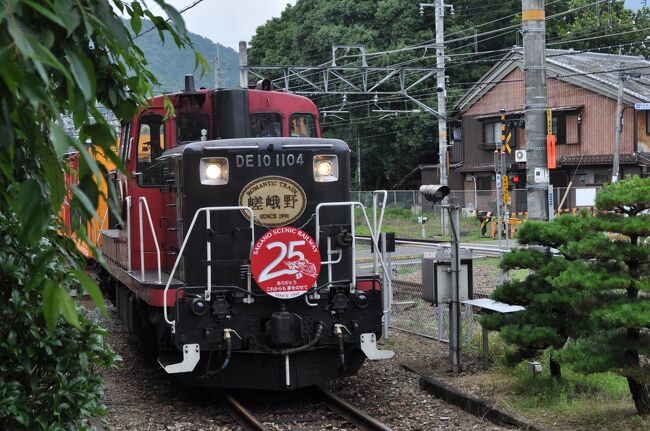 　2016年6月30日、お休みをもらって日帰りで京都へ行ってきました。<br />　第一目的は、4月にオープンした京都鉄道博物館を訪問すること、友人がせっかく4月のプレオープンの入場券を確保していたのに、キャンセルしてしまって行けずじまい、それから2か月もたってしまいました。(笑)<br />　2か月経ったとはいえ、週末に行くと混んでいそうなので平日に行くことにしたのでした。<br />　でも、せっかく出かけるのですから久しぶりに乗る嵯峨野観光鉄道ほか、少し乗り鉄もしてきました。(笑)