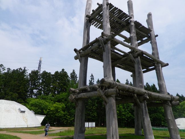 友人Mとの2泊3日の青森旅行。3日目は青森市内をうろうろ。<br />3日目：青森市内観光（三内丸山遺跡、青森県立美術館、ねぶたの家ワ・ラッセ、八甲田丸）17:22新青森駅発、20時半東京駅着。