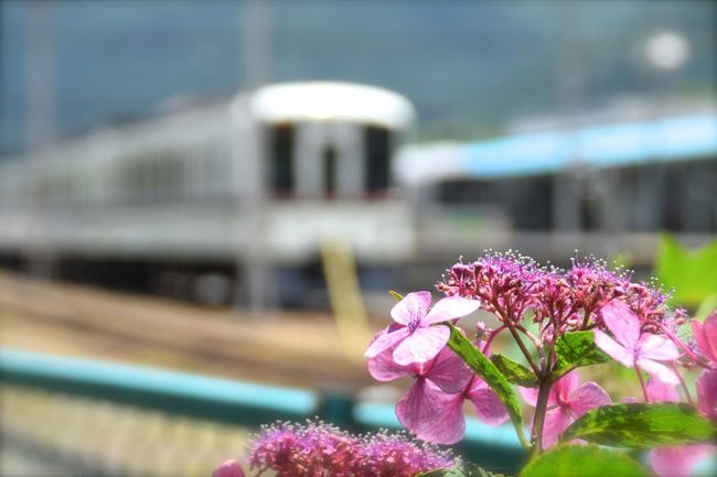 現在日本と台湾を縦断する壮大なスケールの<br />スタンプラリーが鉄道４社合同で行われています。<br />http://www.keikyu.co.jp/information/recommend/20150825HP_15081MT.html<br />当初、開催期間中に台湾の複数の箇所を<br />訪れる予定がなかったので<br />今回はスルーかな、と思っていました。<br /><br />ところが、毎年７月初旬〜中旬に早めに取っている<br />夏休みの行き先を今年は台湾に決めた為<br />急遽日本部分を捺してきました。<br /><br />これで台湾に行く準備は万端！後は台湾でスタンプを捺すだけ！<br />