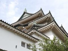 2016年7月　和歌山県②　「湯浅重要伝統的建造物群保存地区・和歌山城」