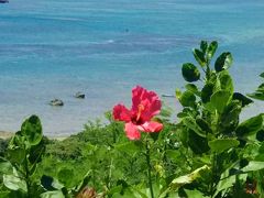 高齢者を連れて　黒島・石垣島観光　１日目